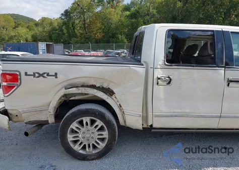 2009 Ford F-150 Fx4/King Ranch/Lariat/Platinum/Xl/Xlt z USA, uszkodzony, nr VIN 1FTPW14V69FA73554